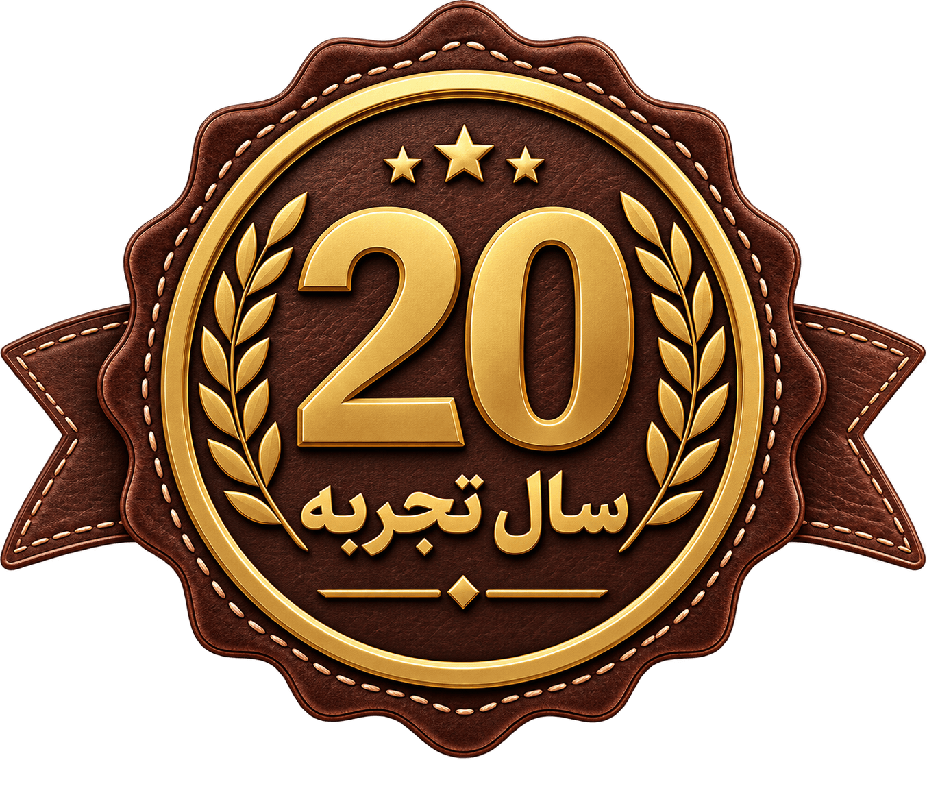 20 سال تجربه
